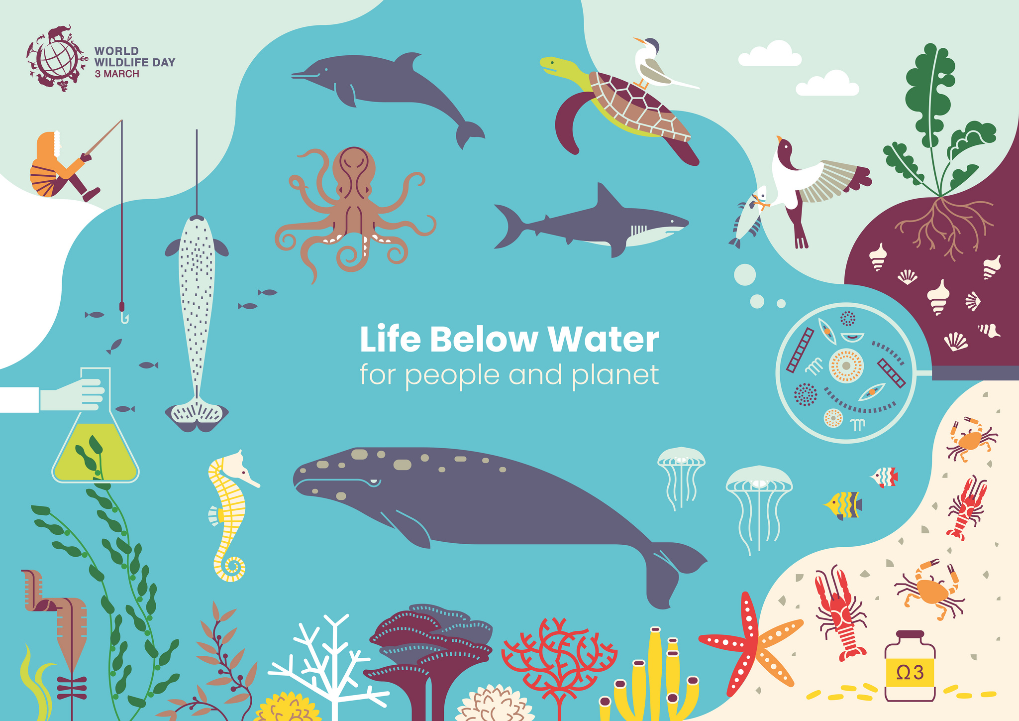 life below water 2