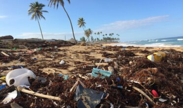 Plastic trash is swept onto a otherwise beautiful beach. Palm trees blow in the wind as blue water sweeps on the beach.