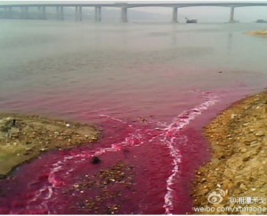 Xiangtan-River-Pollution-Mao-Ge